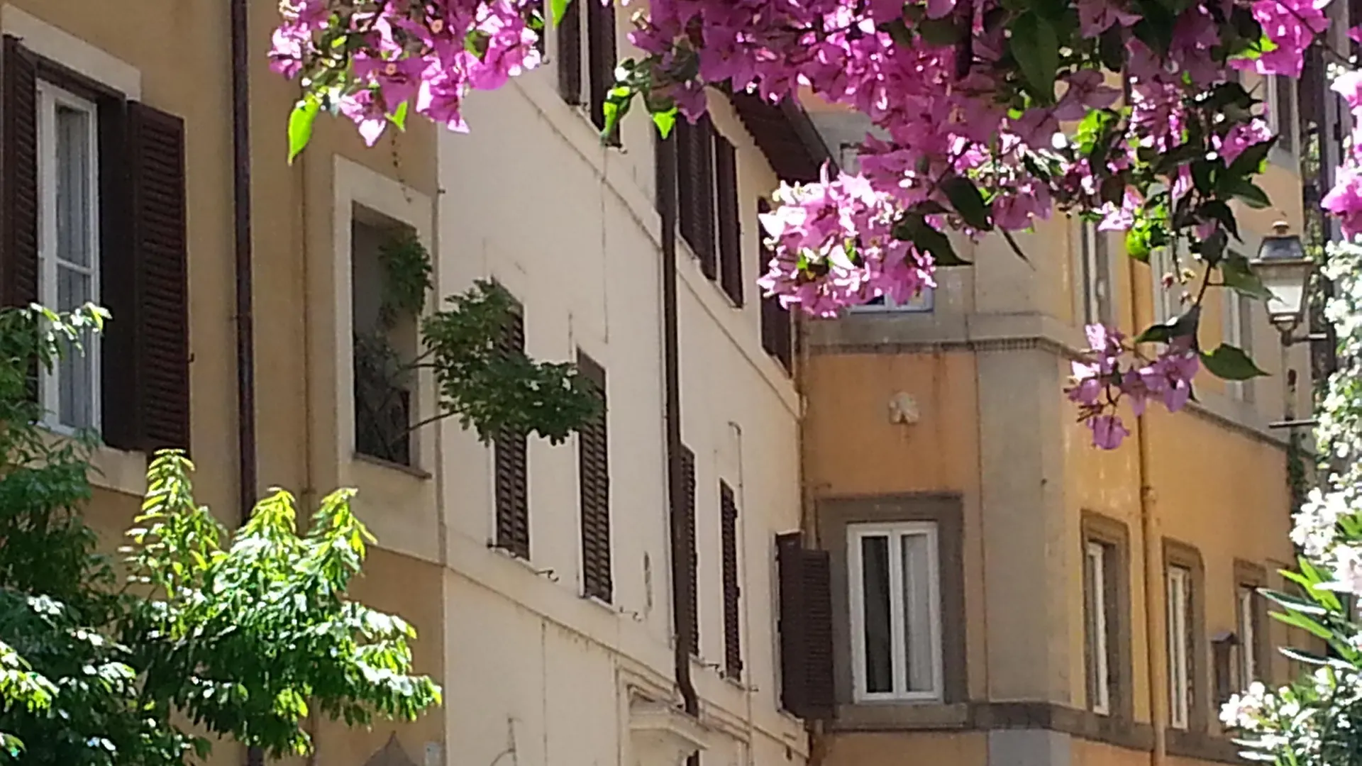 Bed & Breakfast B&B Ventisei Scalini A Trastevere Rome