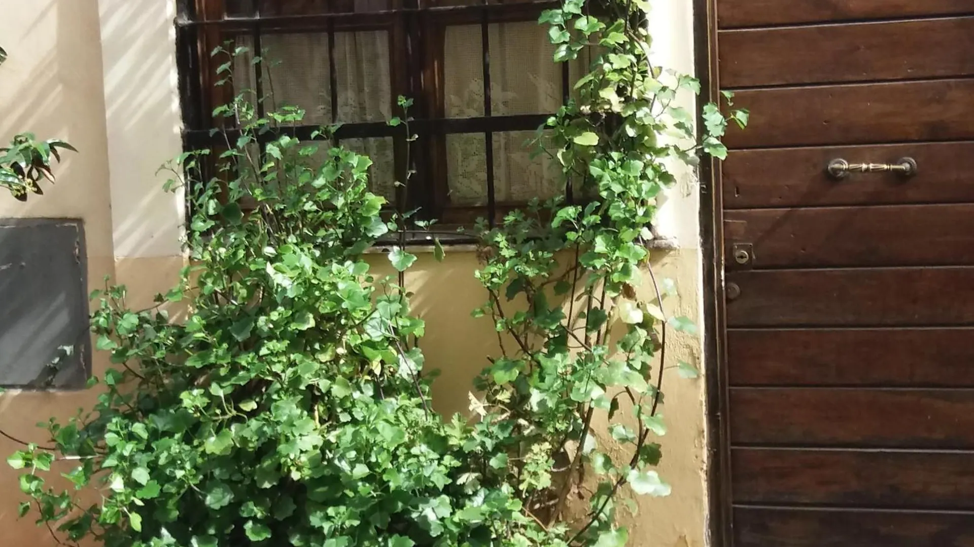 B&B Ventisei Scalini A Trastevere Rome Bed & Breakfast